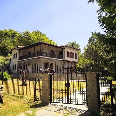 Zenios Dionysos - Traditional Villa Grevena Eksteriør billede